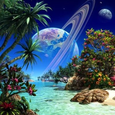 Paradise 